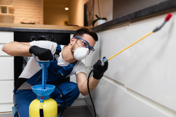 Best Pest Control Near Me  in Bloomington, IL