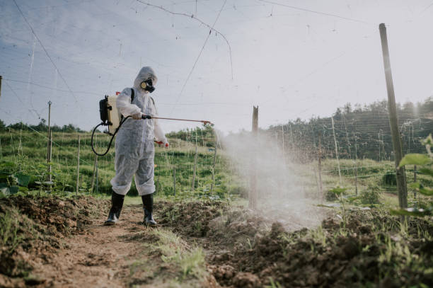 Best Ant Control Services  in Bloomington, IL