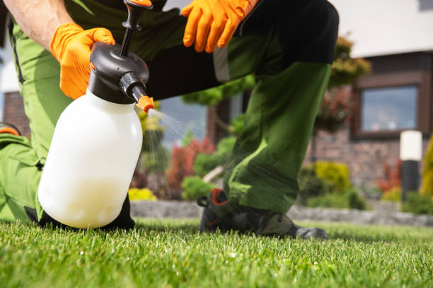 Best Pest Inspection Near Me  in Bloomington, IL