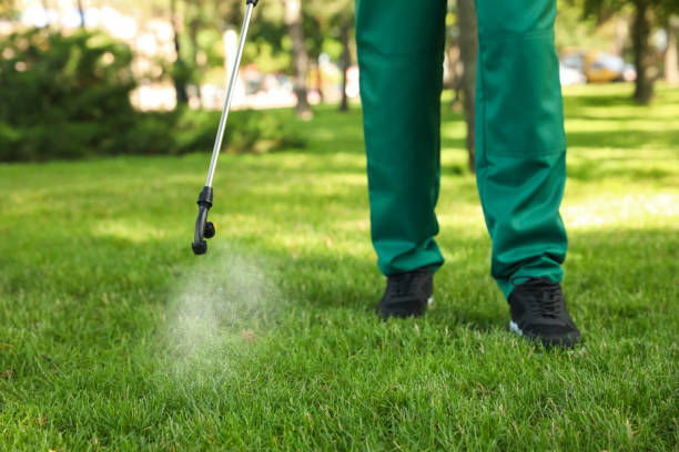 Best Spider Control Near Me  in Bloomington, IL