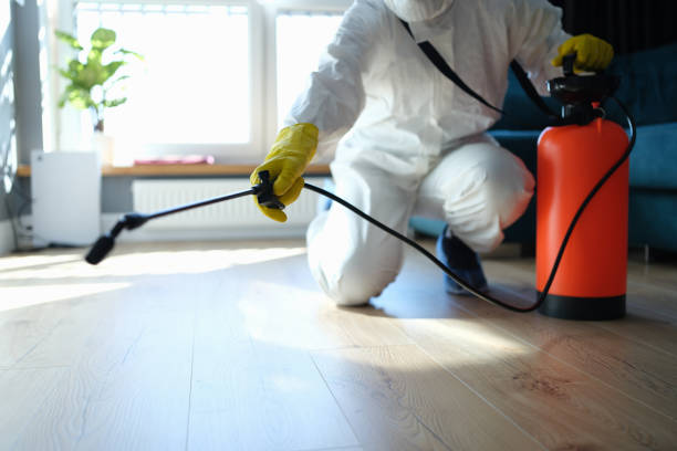 Best Affordable Pest Control Services  in Bloomington, IL