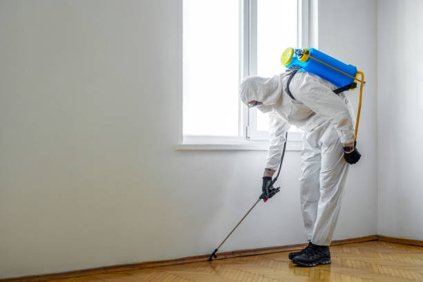 Best Pest Control for Businesses  in Bloomington, IL