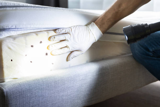 Best Wildlife Control Services  in Bloomington, IL