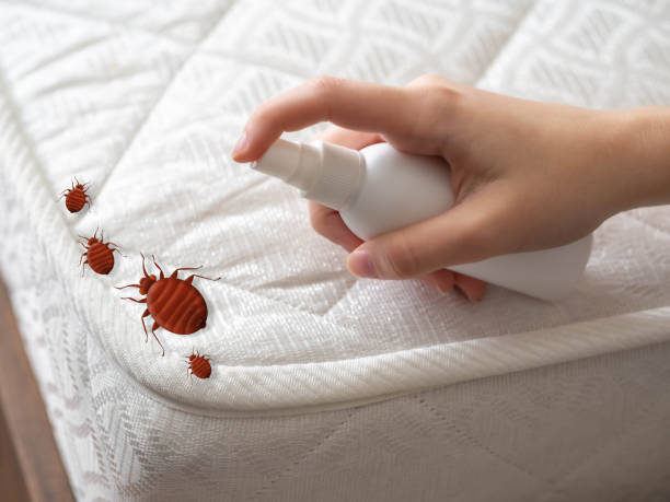 Best Affordable Pest Control Services  in Bloomington, IL
