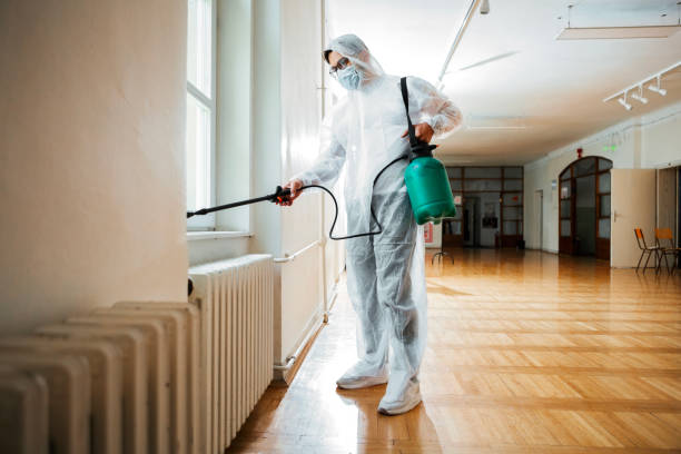Best Residential Pest Control  in Bloomington, IL