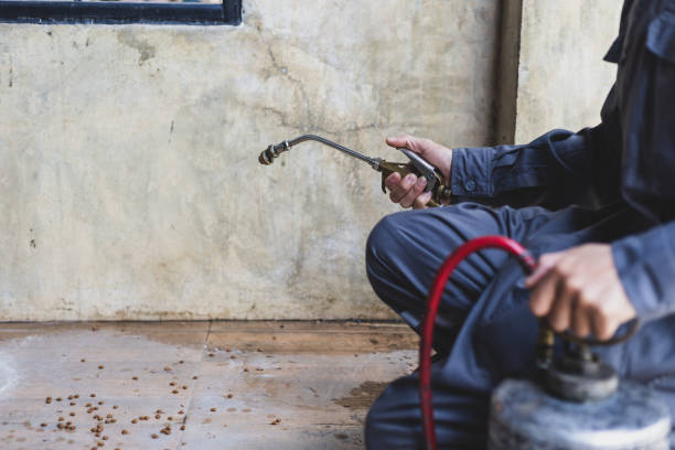 Best Rat Extermination Near Me  in Bloomington, IL